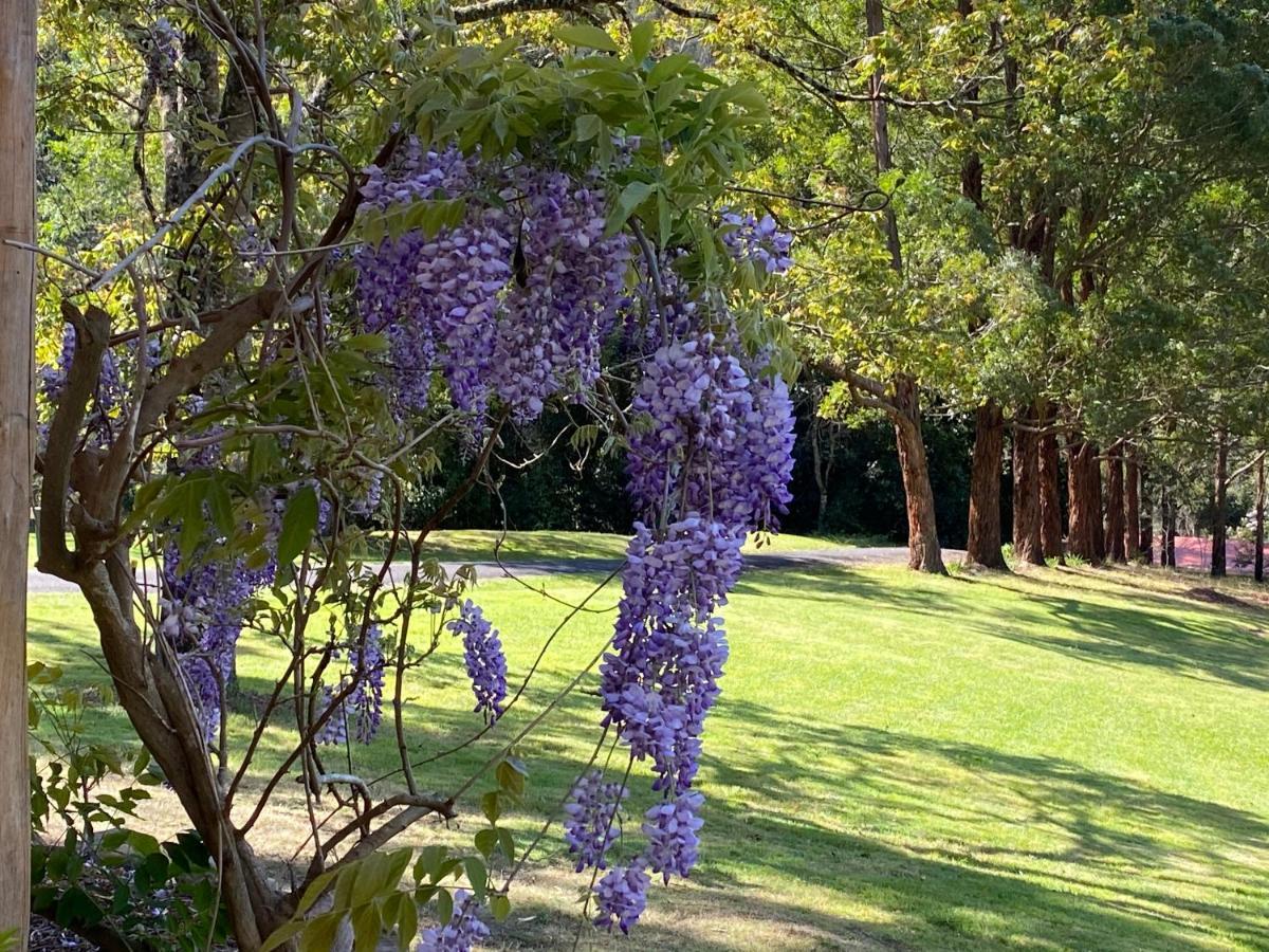 Copeland House Bed & Breakfast Exterior foto